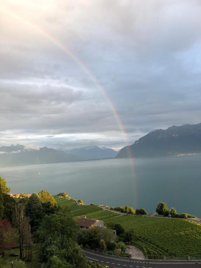 Room With 360° View Overlooking Lake Geneva And Alps Puidoux Exterior foto