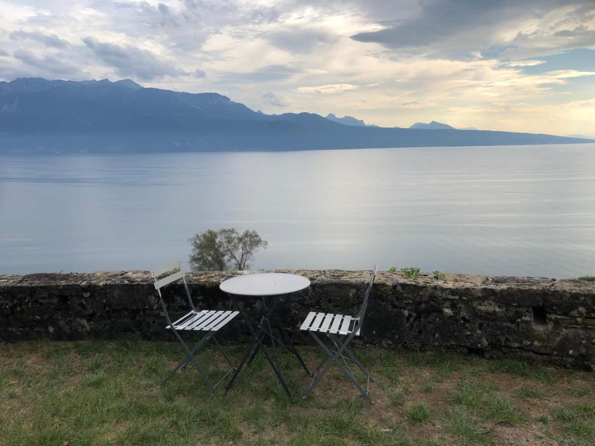 Room With 360° View Overlooking Lake Geneva And Alps Puidoux Exterior foto