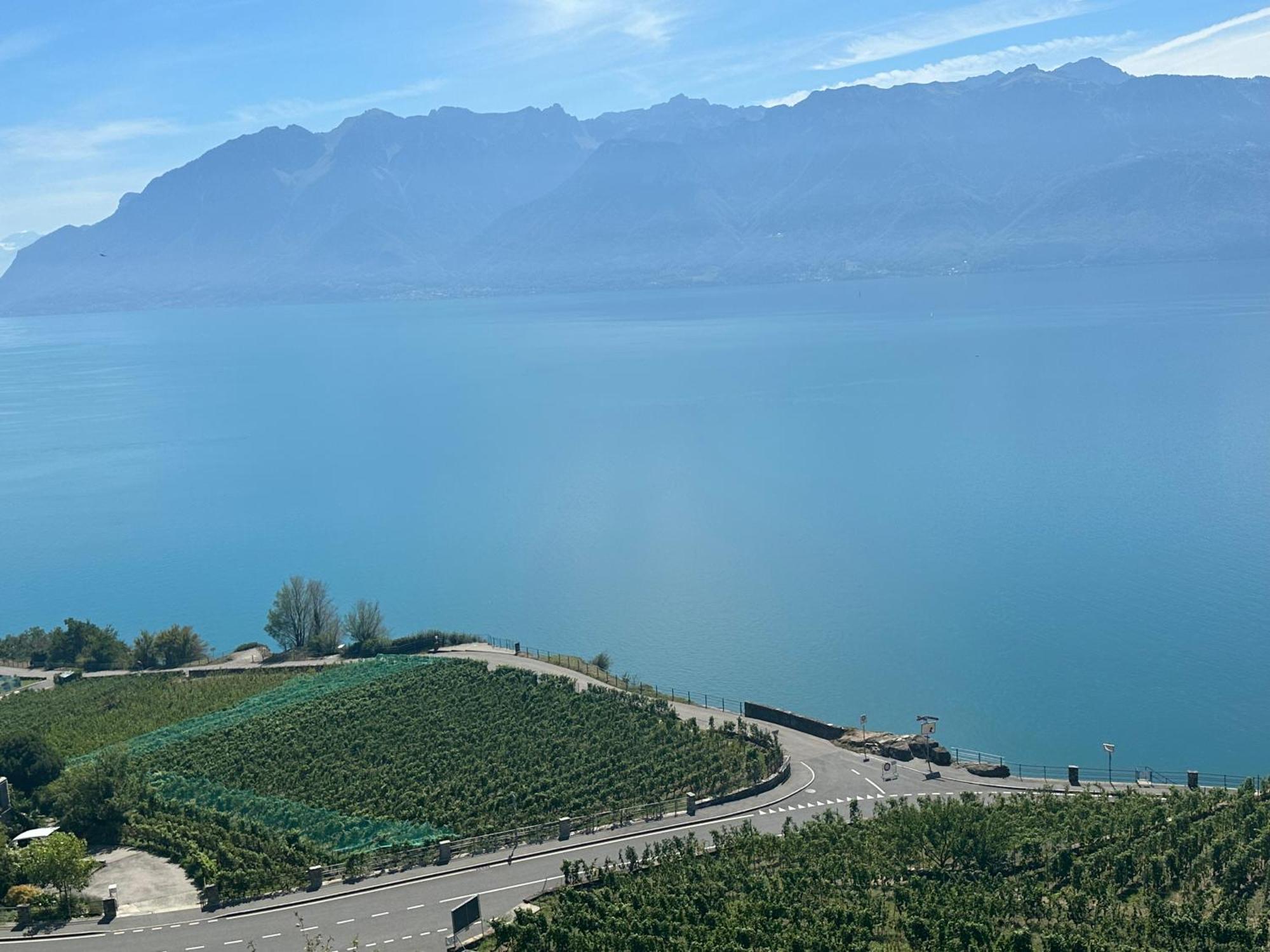Room With 360° View Overlooking Lake Geneva And Alps Puidoux Exterior foto